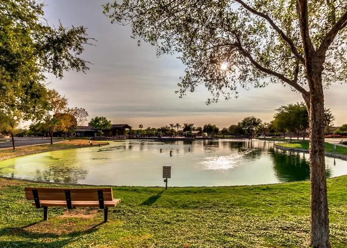 Palmen Maricopa